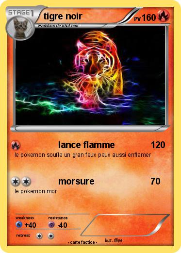 Pokemon tigre noir