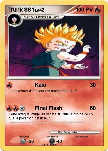 Pokemon Trunk SS1