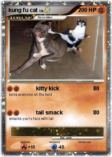Pokemon kung fu cat