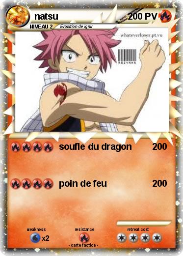 Pokemon natsu