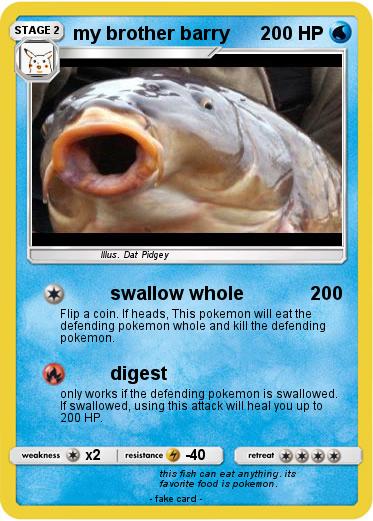 Pokemon my brother barry