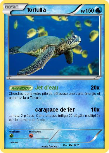 Pokemon Tortulla