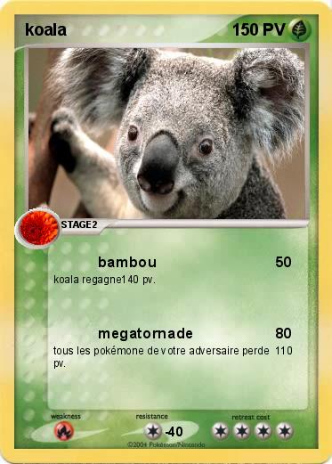 Pokemon koala