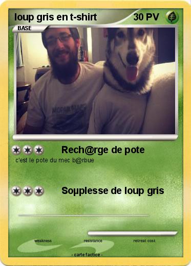 Pokemon loup gris en t-shirt
