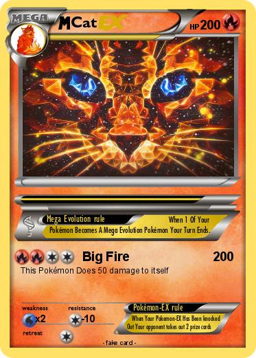 Pokemon Cat