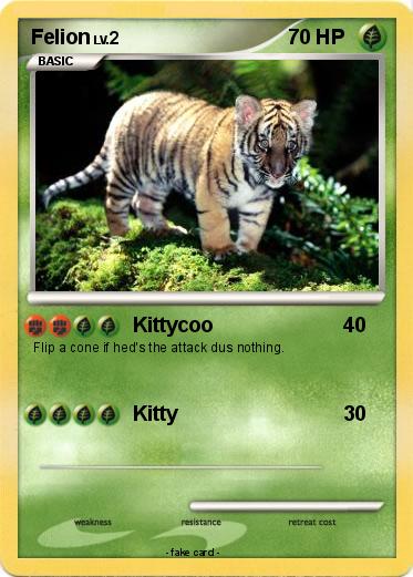 Pokemon Felion