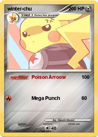 Pokemon winter-chu