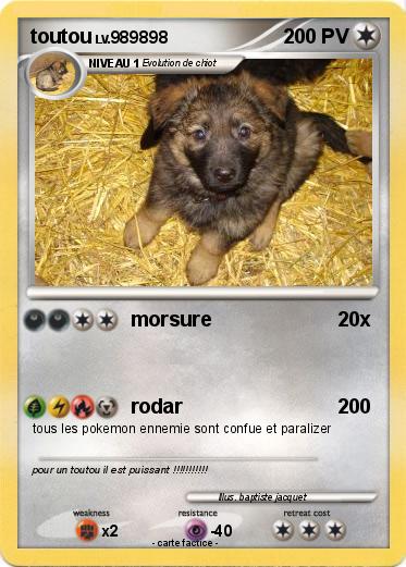 Pokemon toutou
