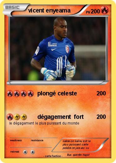 Pokemon vicent enyeama