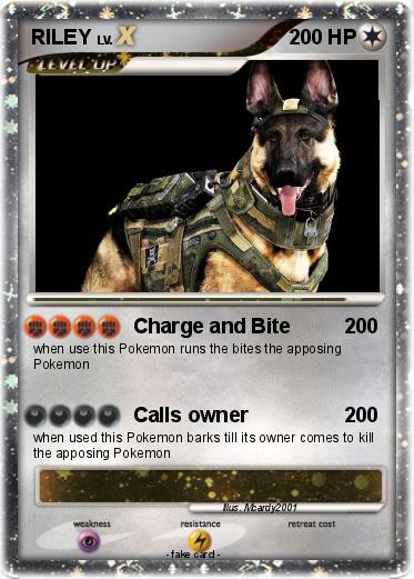 Pokemon RILEY