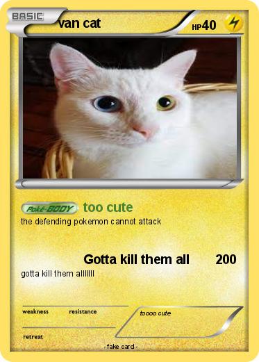 Pokemon van cat