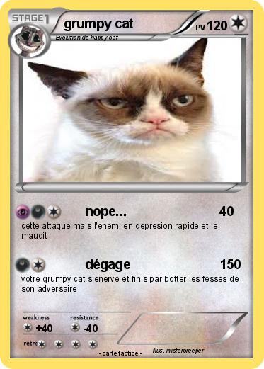 Pokemon grumpy cat