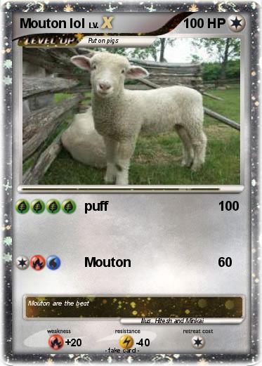 Pokemon Mouton lol