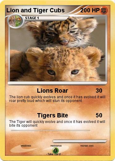 Pokemon Lion and Tiger Cubs