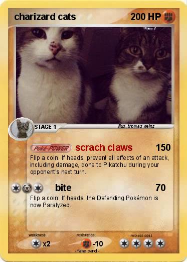 Pokemon charizard cats