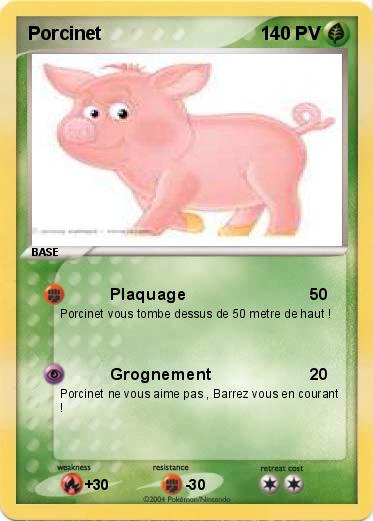 Pokemon Porcinet