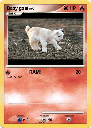 Pokemon Baby goat