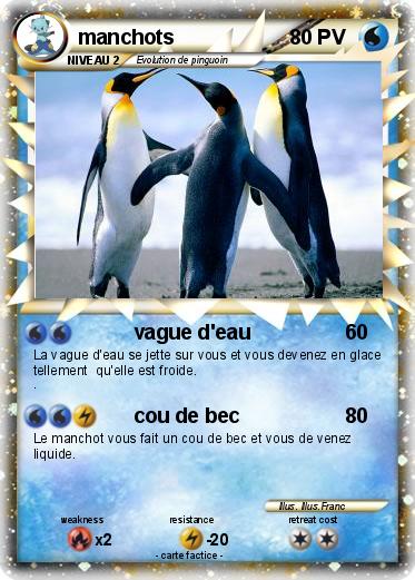 Pokemon manchots