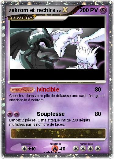 Pokemon zekrom et rechira