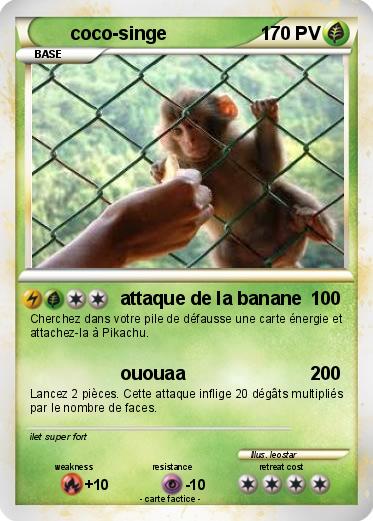 Pokemon coco-singe