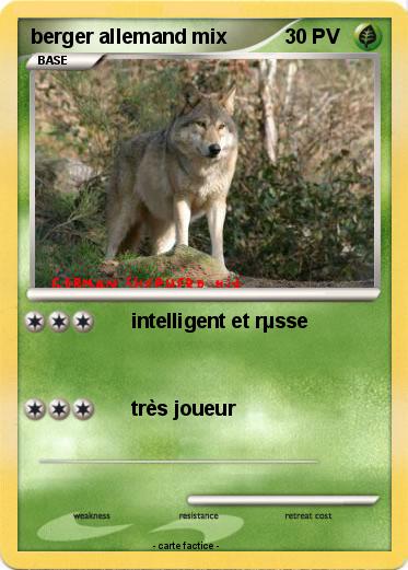 Pokemon berger allemand mix
