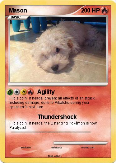 Pokemon Mason