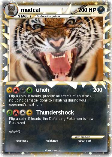 Pokemon madcat