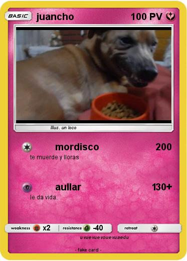 Pokemon juancho