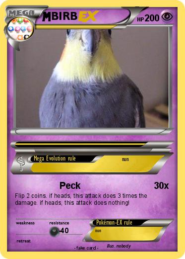Pokemon BIRB