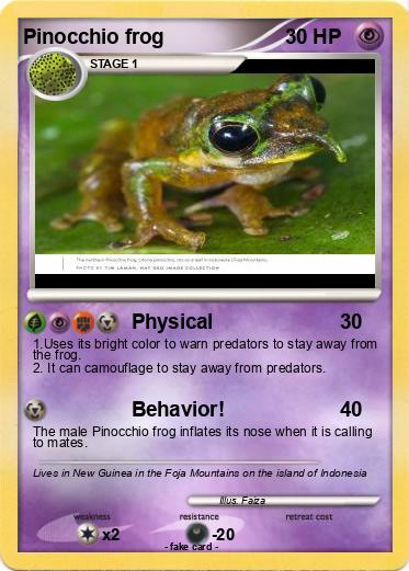 Pokemon Pinocchio frog