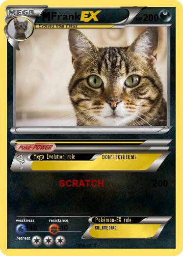 Pokemon Frank