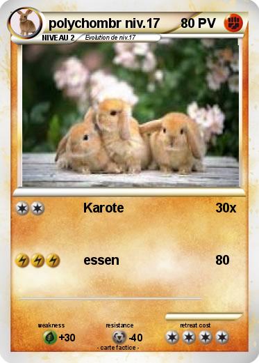 Pokemon polychombr niv.17