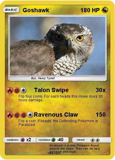 Pokemon Goshawk