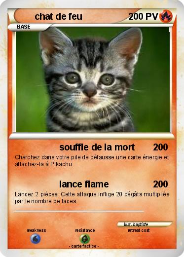 Pokemon chat de feu
