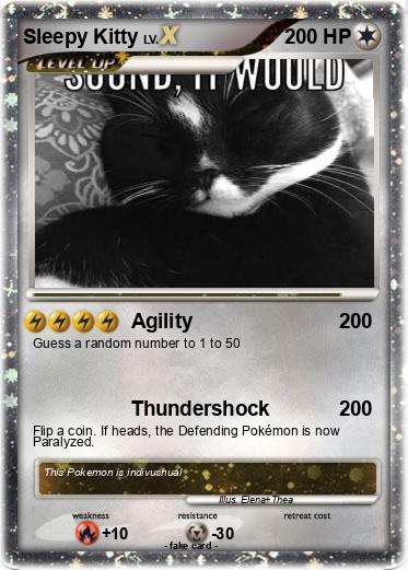 Pokemon Sleepy Kitty