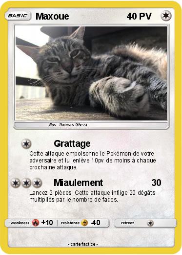 Pokemon Maxoue