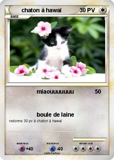 Pokemon chaton à hawaï