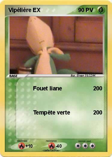 Pokemon Vipélière EX