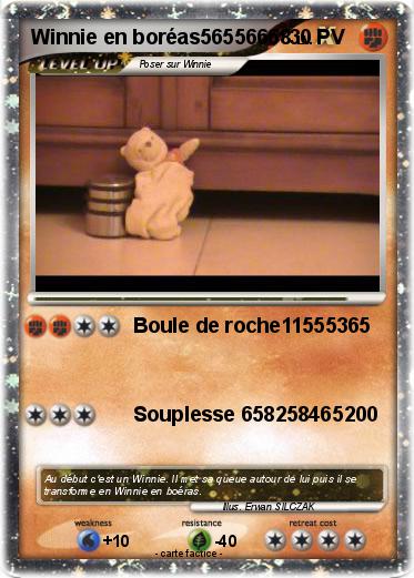 Pokemon Winnie en boréas56556668