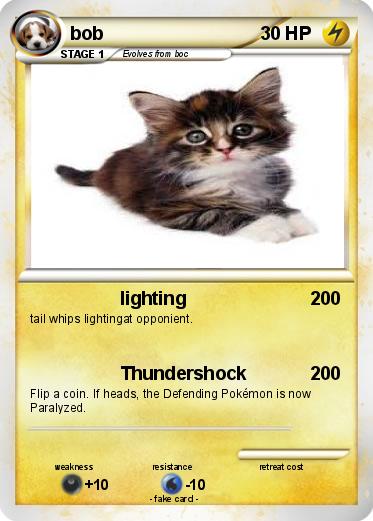 Pokemon bob