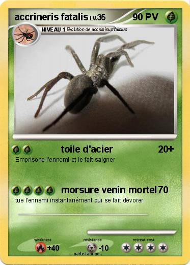Pokemon accrineris fatalis