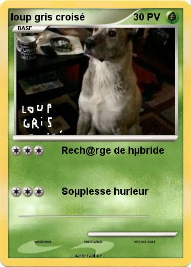 Pokemon loup gris croisé