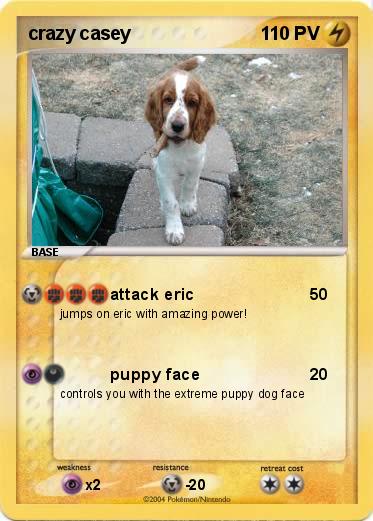 Pokemon crazy casey