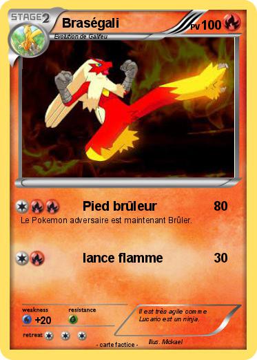Pokemon Braségali