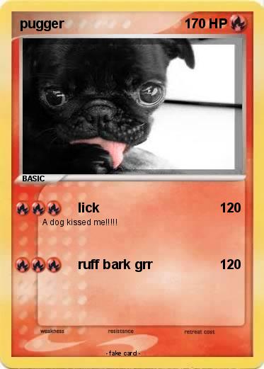 Pokemon pugger