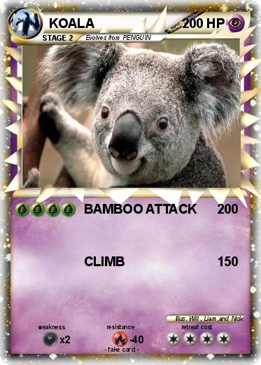 Pokemon KOALA