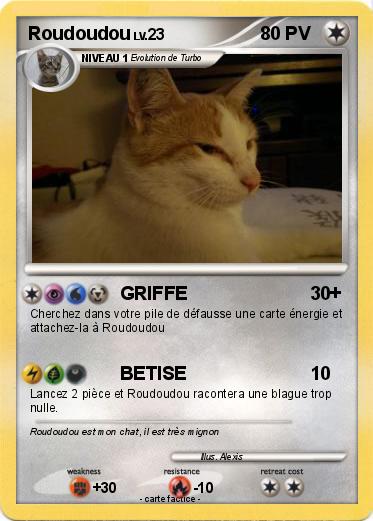 Pokemon Roudoudou