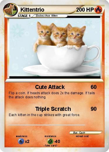Pokemon Kittentrio