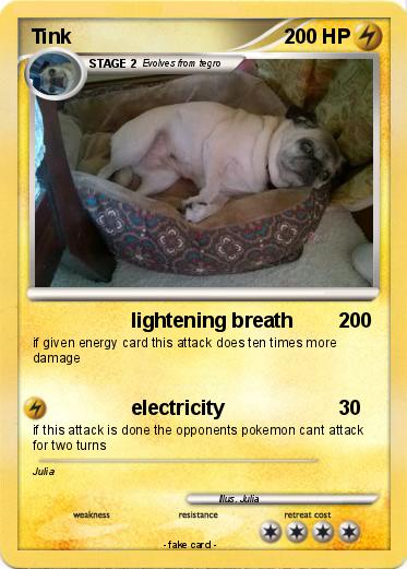 Pokemon Tink