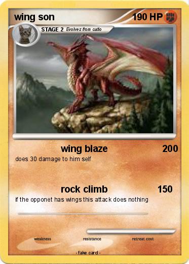 Pokemon wing son